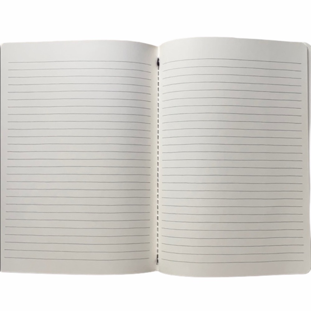 NEW Rae Dunn exolore/write journals/notebooks - Picture 3 of 5